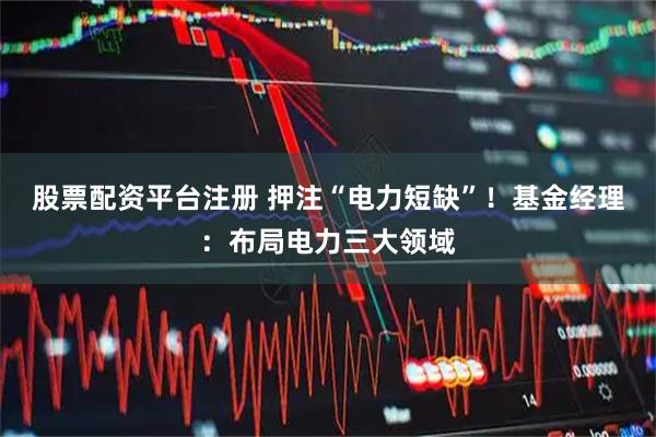 股票配资平台注册 押注“电力短缺”！基金经理：布局电力三大领域