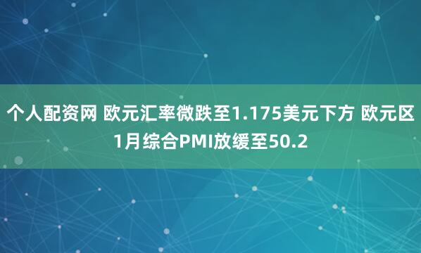 个人配资网 欧元汇率微跌至1.175美元下方 欧元区1月综合PMI放缓至50.2